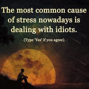 Meet your Posher, Jennarae